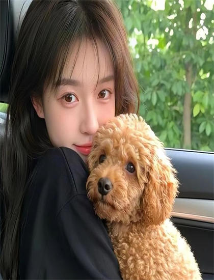 古装传奇：《梦华录TVB版》伏笔的巧妙设置与揭示时机——经典与创新的交融