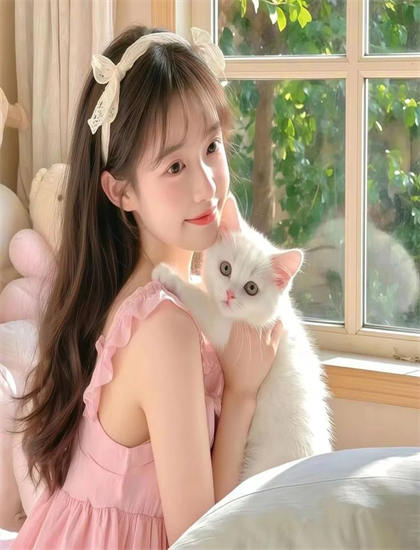 从歌舞片角度解读返乡：的市场表现与观众反响 ——带你领略歌舞片的魅力